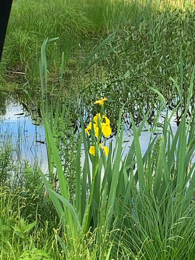 Golf Club «Overlook Golf Club», reviews and photos, 5 Overlook Dr, Hollis, NH 03049, USA