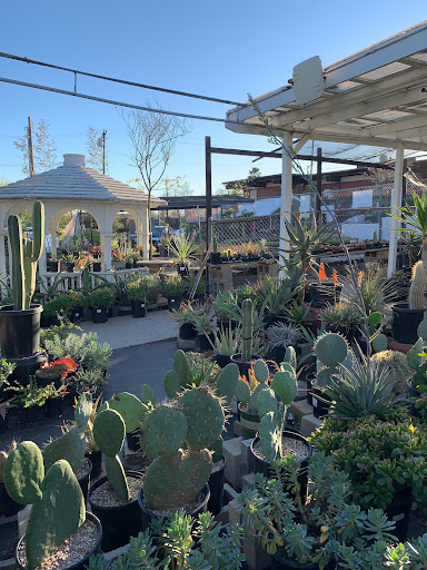 Plant Nursery «San Gabriel Nursery & Florist», reviews and photos, 632 S San Gabriel Blvd, San Gabriel, CA 91776, USA