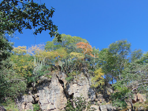 El Rosario Ixcatán Park