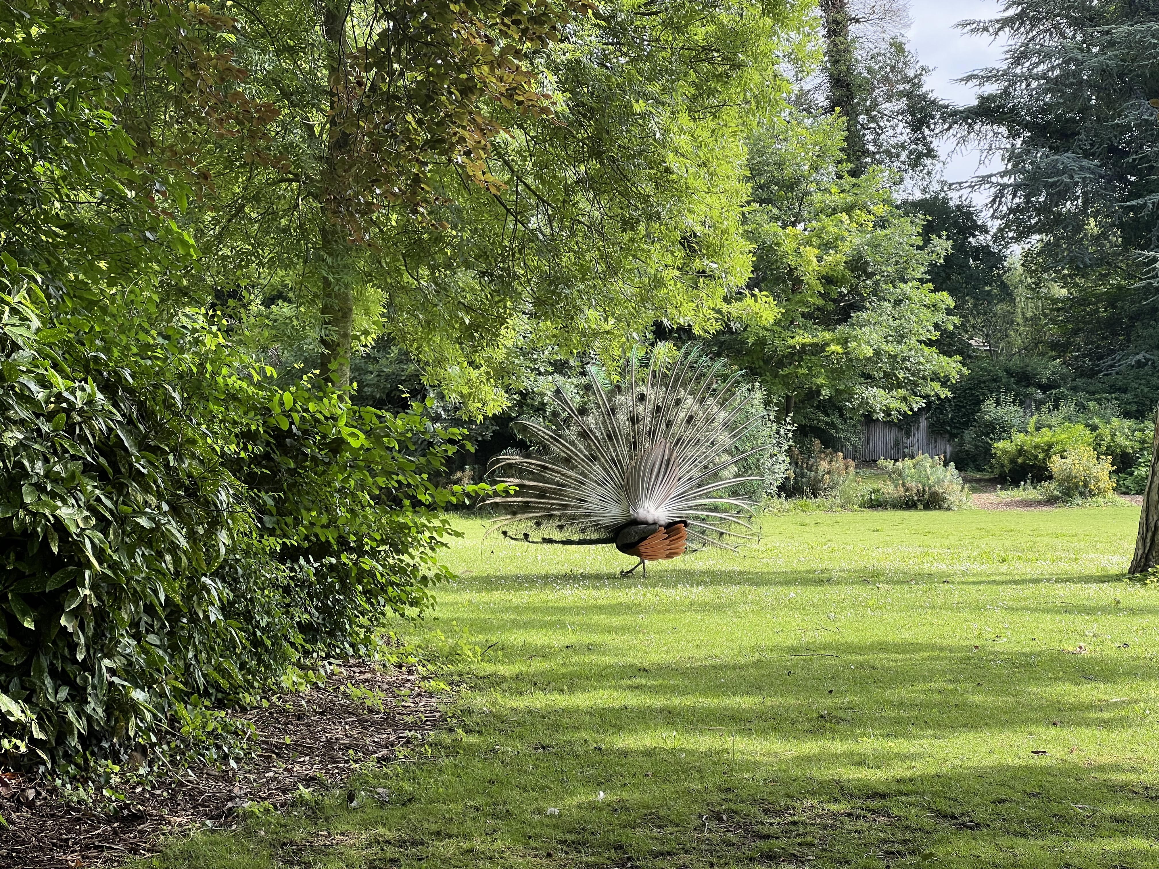 Photo n° 2 de l'avis de Pan.a fait le 12/06/2022 à 06:01