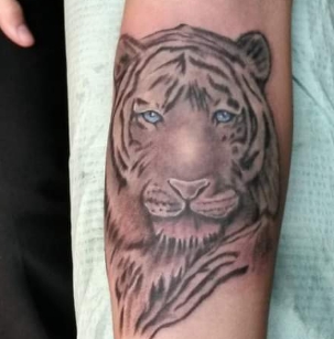 Explore line tattoo ideas for females, creative tattoo ideas in Greenwood, available at Emerald City Tattoos