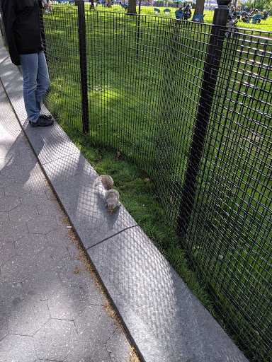 National Park «Castle Clinton National Monument», reviews and photos, Battery Park, New York, NY 10004, USA