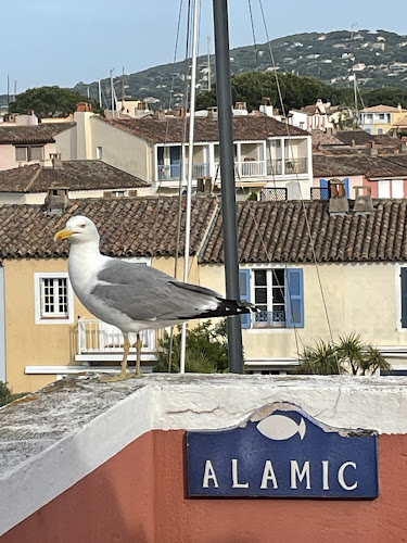 Ferienwohnung Alamic à Grimaud