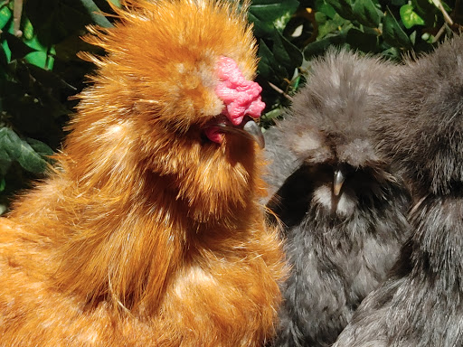 Aquarium «SeaQuest Interactive Aquarium», reviews and photos, 1201 N Hill Field Rd #1072, Layton, UT 84041, USA