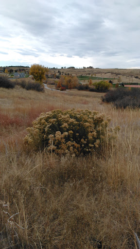 Coffee Shop «Fika Coffee House», reviews and photos, 22040 E Idyllwilde Dr, Parker, CO 80138, USA