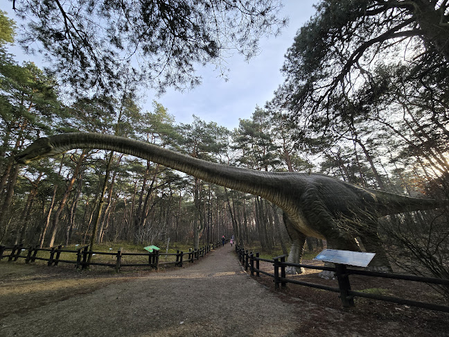 Comentarii opinii despre JuraPark Solec Kujawski