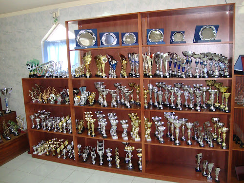 TROFÉUS RENATO - Taças, Troféus, Placas, Acrilicos, Medalhas e Medalhões. em Espinho
