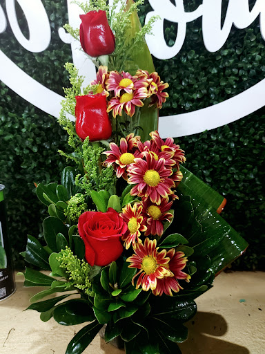 ENCANTO FLORAL – San Luis Río Colorado