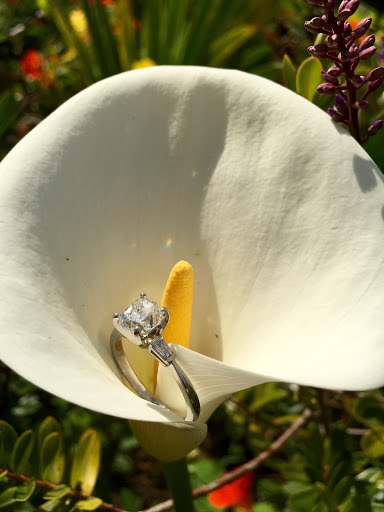 Jewelry Repair Service «Atlantic Jewelers», reviews and photos, 900 E Atlantic Blvd #13, Pompano Beach, FL 33060, USA