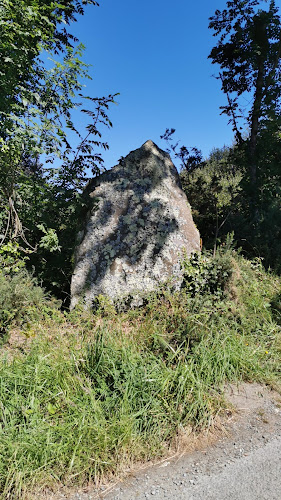 Menhir de Traon-Bihan à Plougasnou