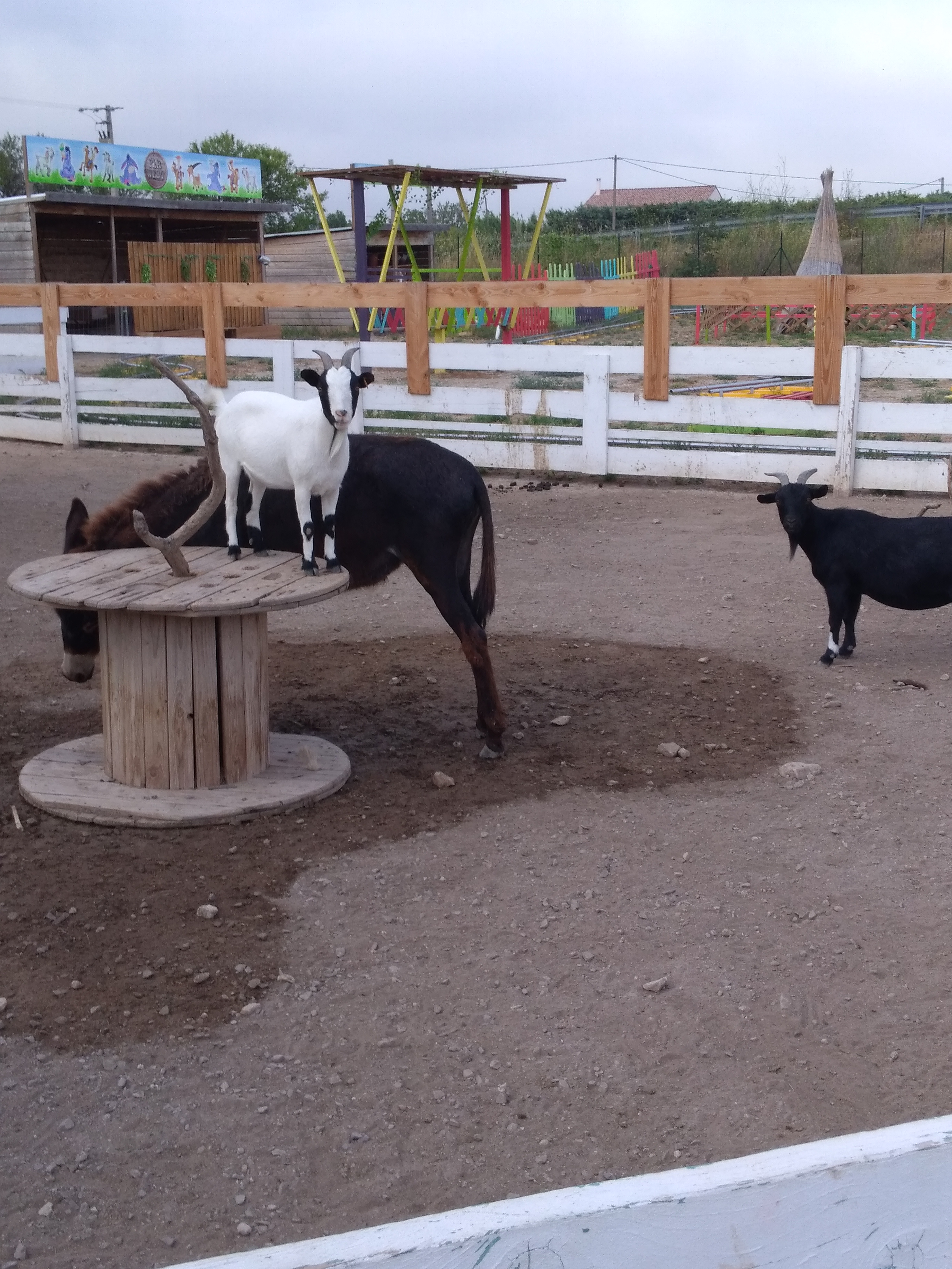 Photo n° 2 de l'avis de Mertz.n fait le 09/08/2019 à 20:32