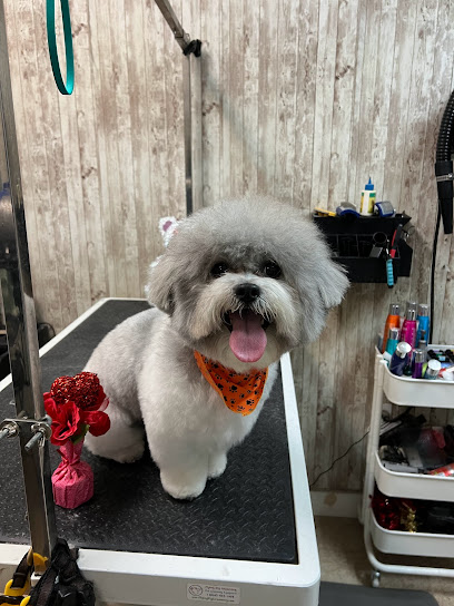 Classic Dogs Miami Mobile Grooming & Store