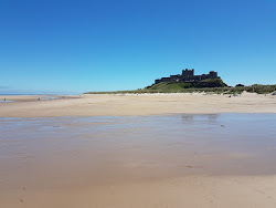 Northumberland Coast'in fotoğrafı vahşi alan