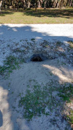 Department Store «Walmart Supercenter», reviews and photos, 19975 S Tamiami Trail, Estero, FL 33928, USA