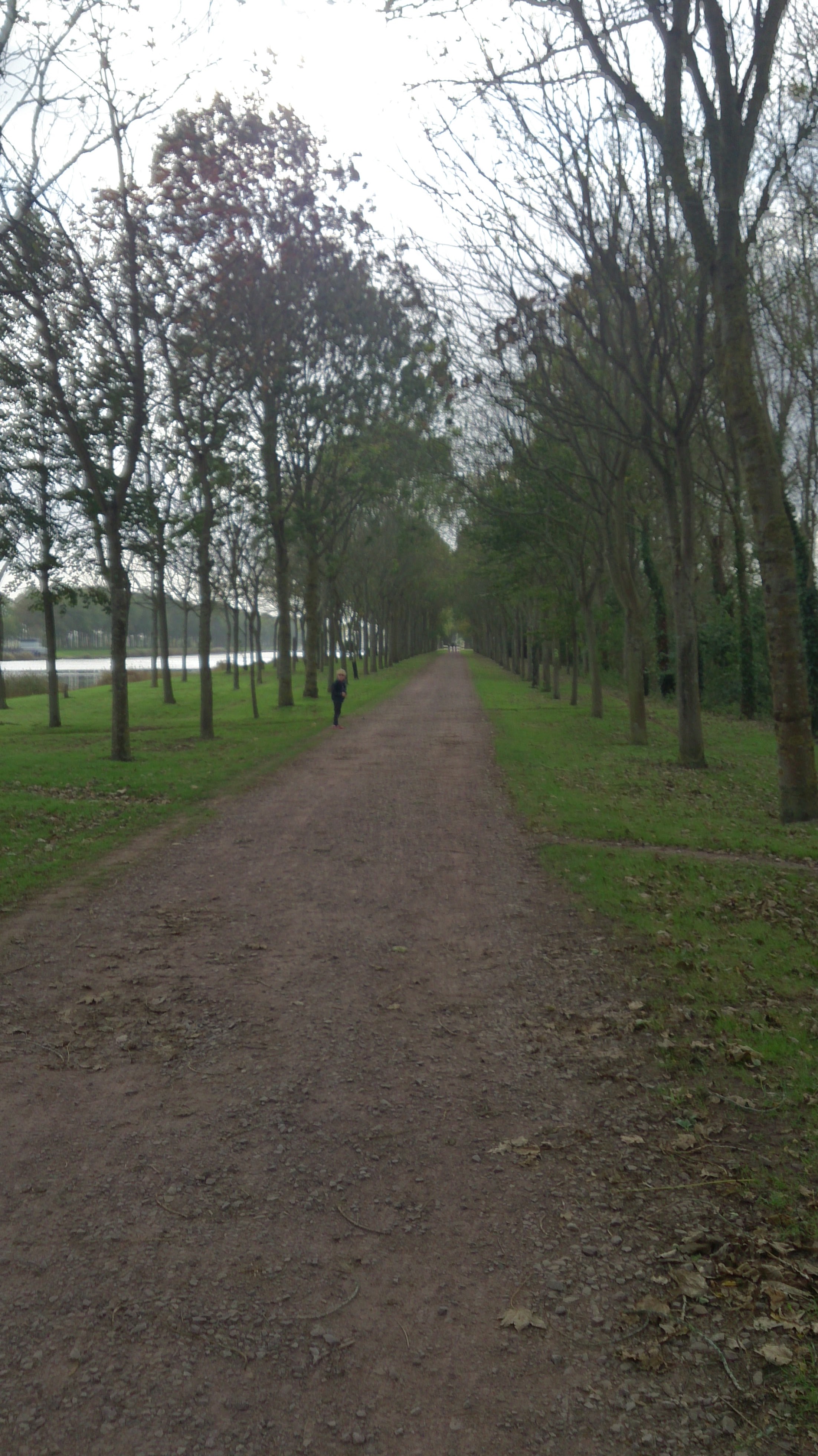 Photo n° 2 de l'avis de Thibaudeau.r fait le 23/04/2019 à 13:31