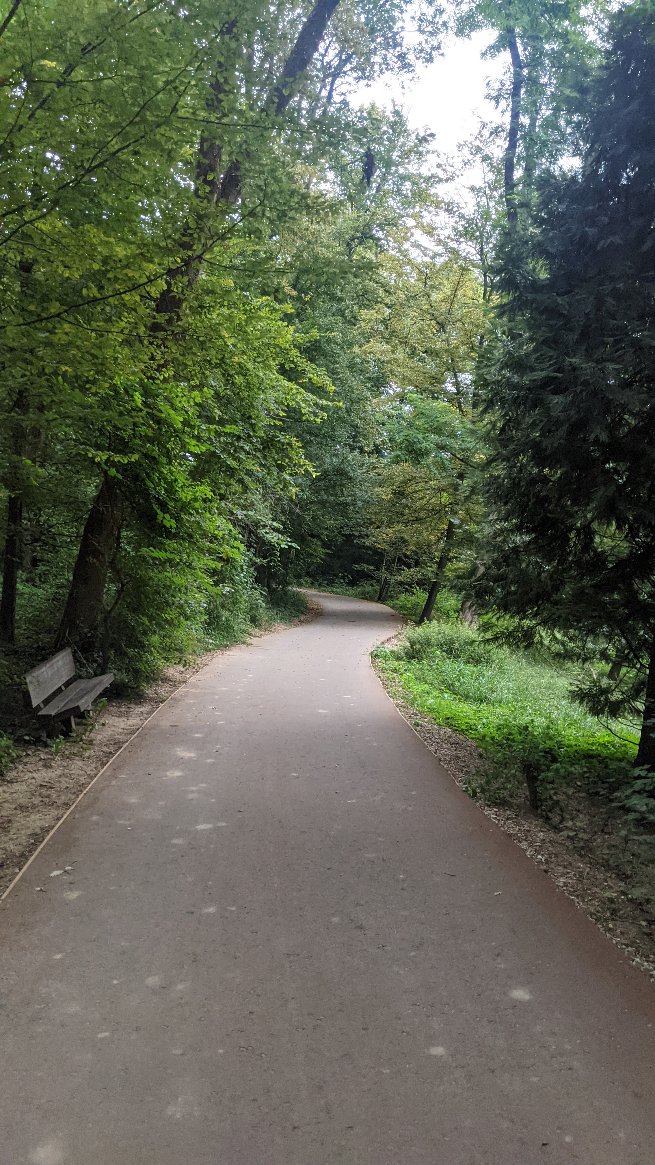 Photo n° 4 de l'avis de Siyah.. fait le 23/08/2021 à 17:06