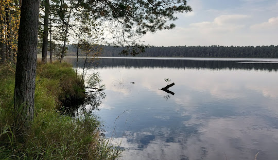 Lago di Võrtsjärv (Estonia)
