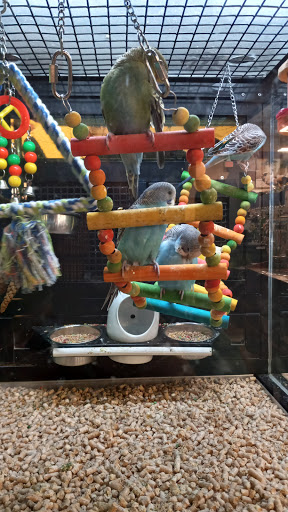 Pet Supply Store «PetSmart», reviews and photos, 24005 U.S. 27, Lake Wales, FL 33859, USA