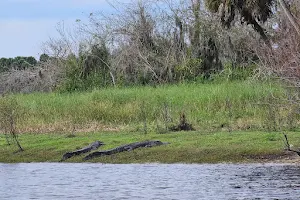 Myakka Wildlife Tours image