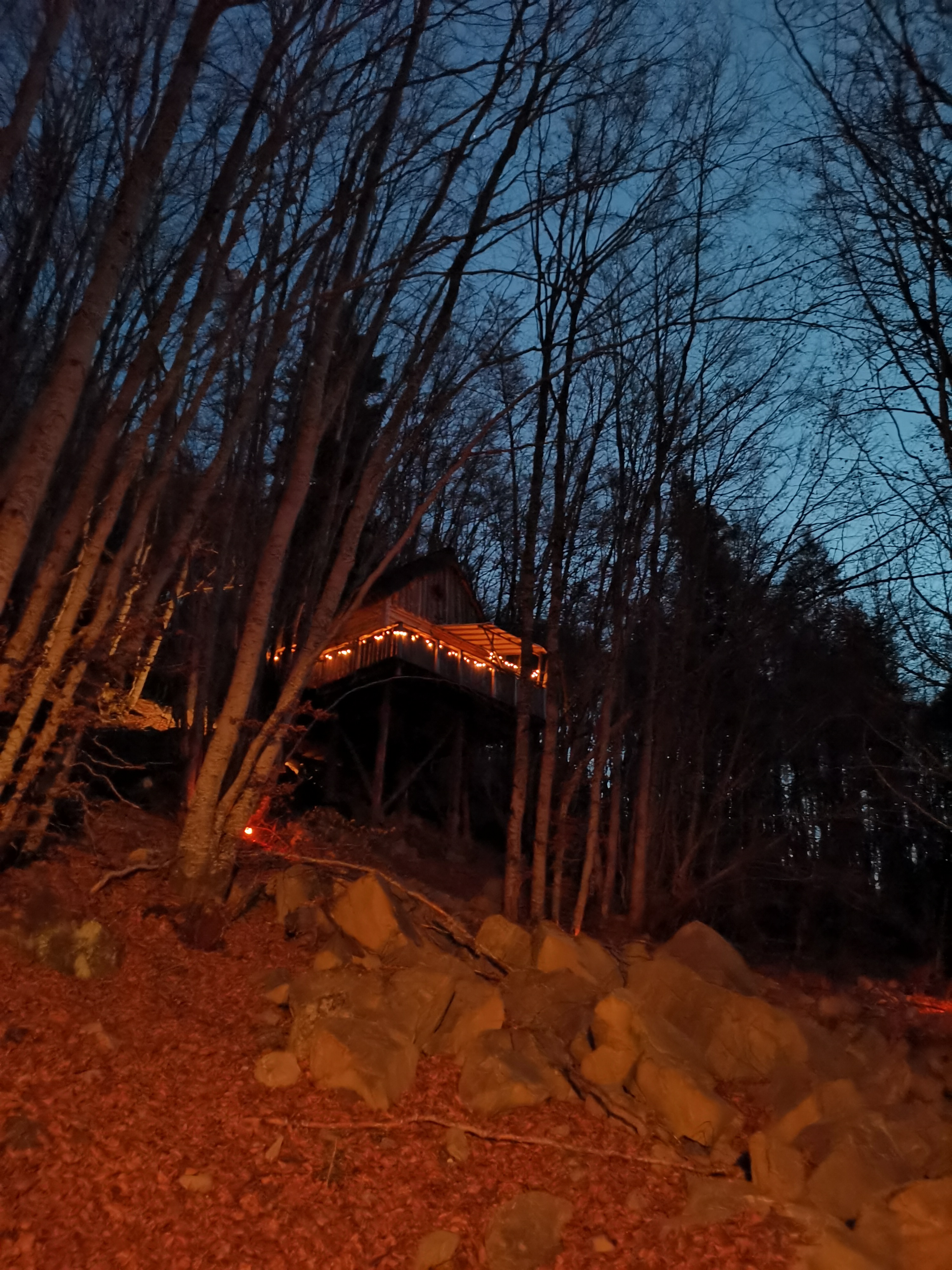 Photo n° 4 de l'avis de Olivier.e fait le 14/11/2021 à 07:43