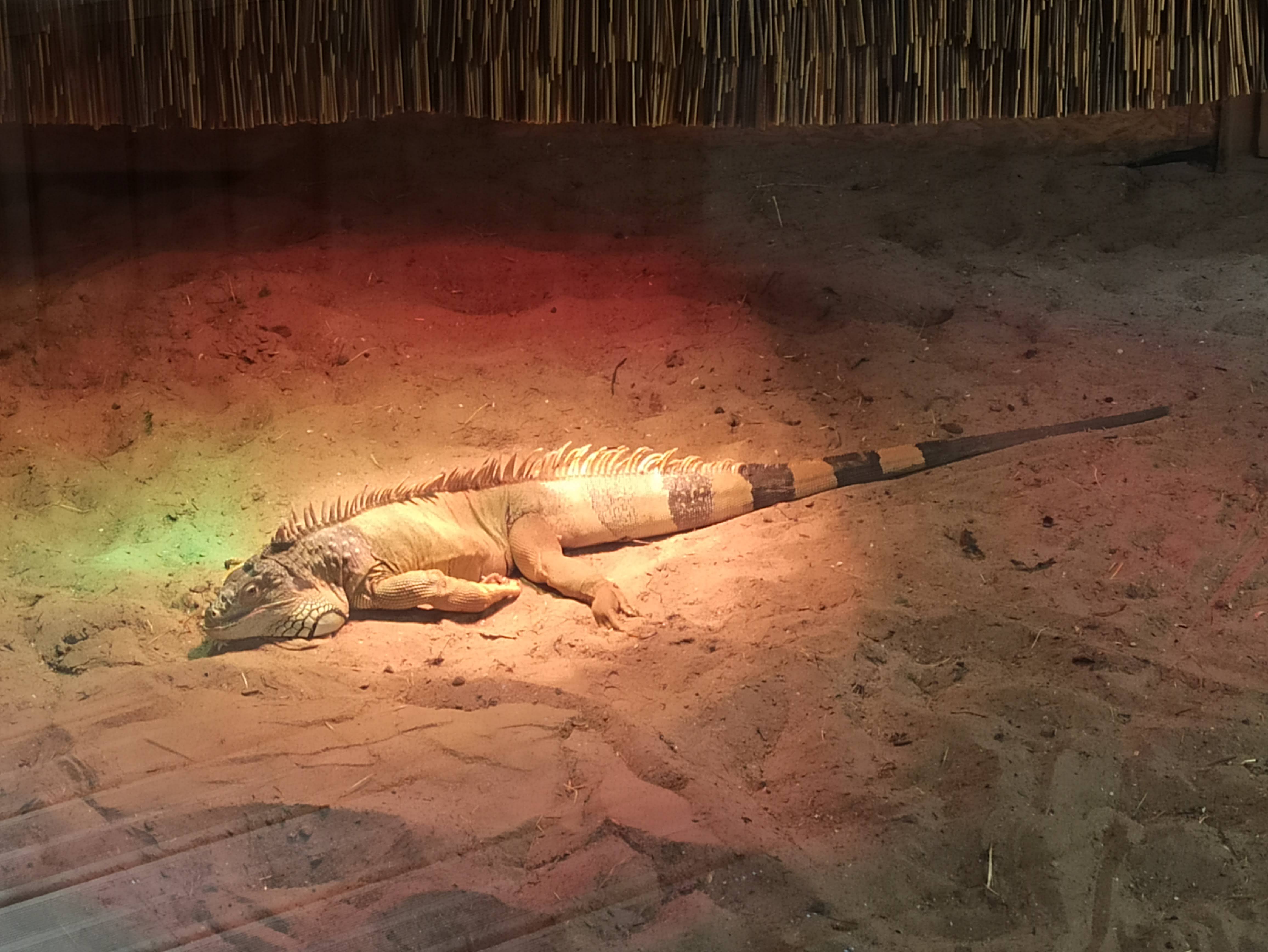 Photo n° 4 de l'avis de Audrey.r fait le 07/09/2020 à 12:19