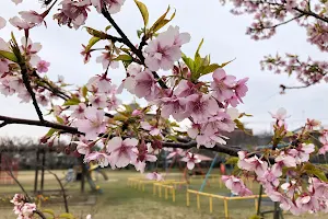 Hiraike Park image