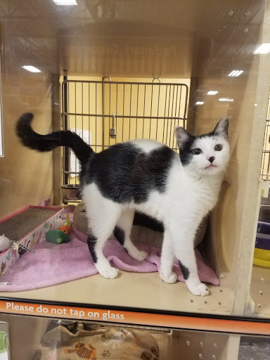Pet Supply Store «PetSmart», reviews and photos, 5401 N Garland Ave, Garland, TX 75040, USA