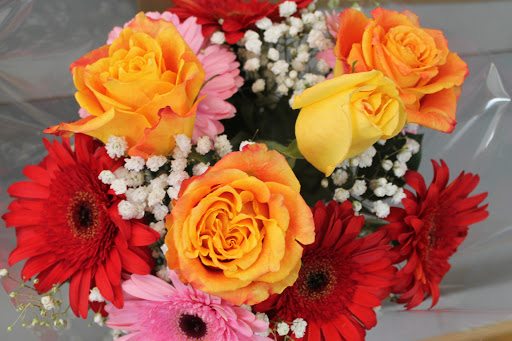 Grocery Store «Green Farmers Market», reviews and photos, 101 Plaza Center, Secaucus, NJ 07094, USA