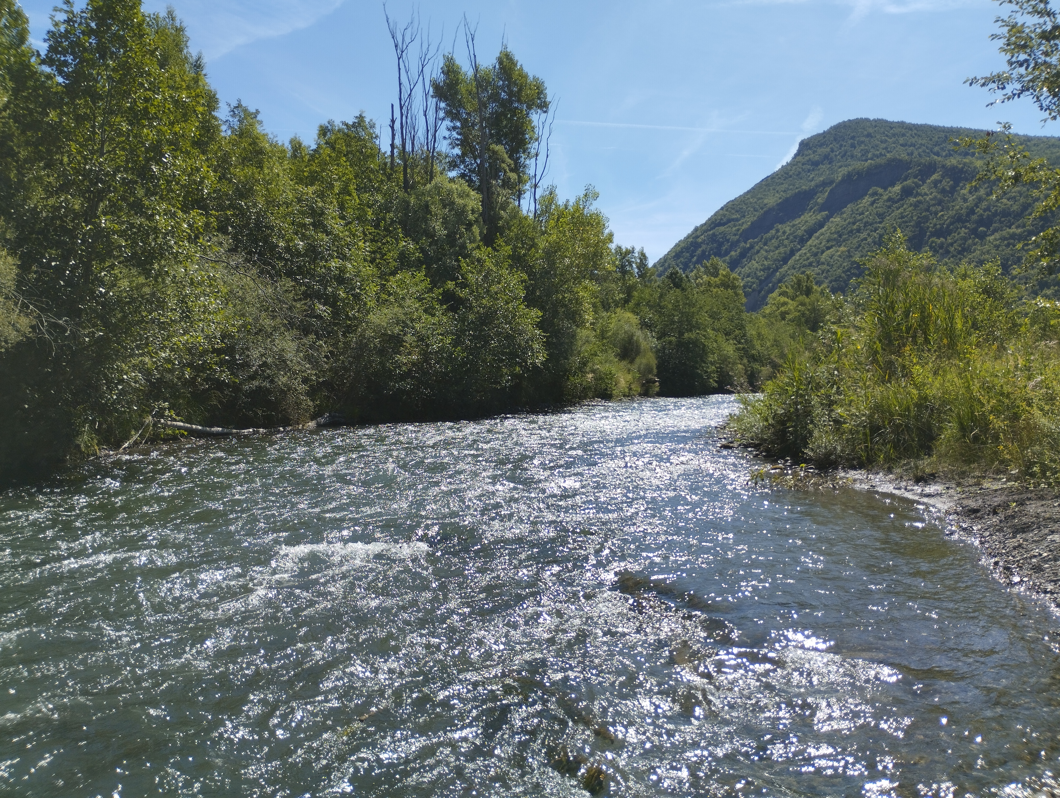 Photo n° 1 de l'avis de Rousseau.a fait le 09/08/2023 à 15:21