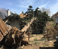 Jones Tree & Lawn, Inc. - Photo 4 - Car repair in Arvada, CO, Denver