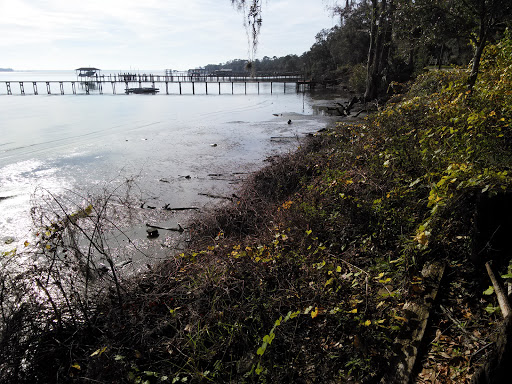 Casino «bestbet Orange Park», reviews and photos, 455 Park Ave, Orange Park, FL 32073, USA