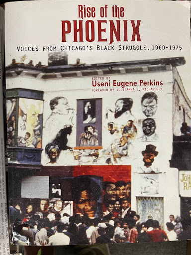 Underground Bookstore, 1727 E 87th St, Chicago, IL 60617, USA, 