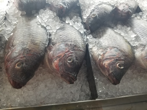 Asian Grocery Store «LF Market Oriental & Seafood», reviews and photos, 5350 W Bell Rd #115, Glendale, AZ 85308, USA