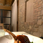 Photo n°1 de l'avis de Ilaria.e fait le 06/02/2024 à 23:42 sur le  Ristorante Alla Vigna à Torreglia