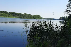 Jezioro Rejowickie image