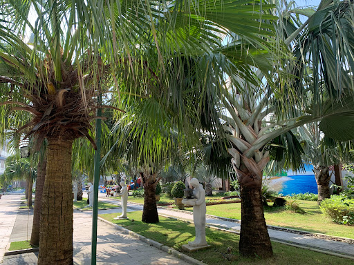 Top 10 cửa hàng đồ gỗ Huyện Đảo Cồn cỏ Quảng Trị 2022