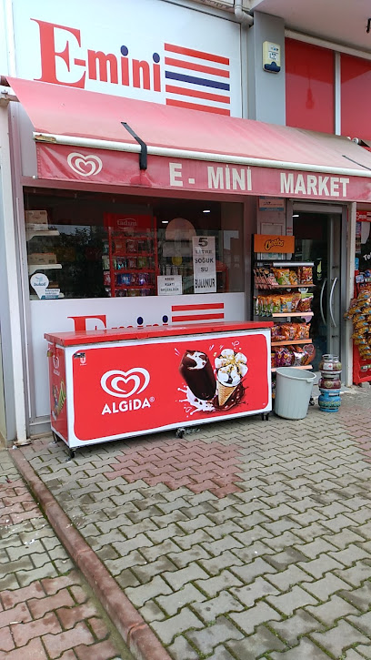 E-mini Market