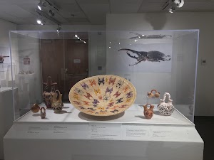 University Museum - photo 8
