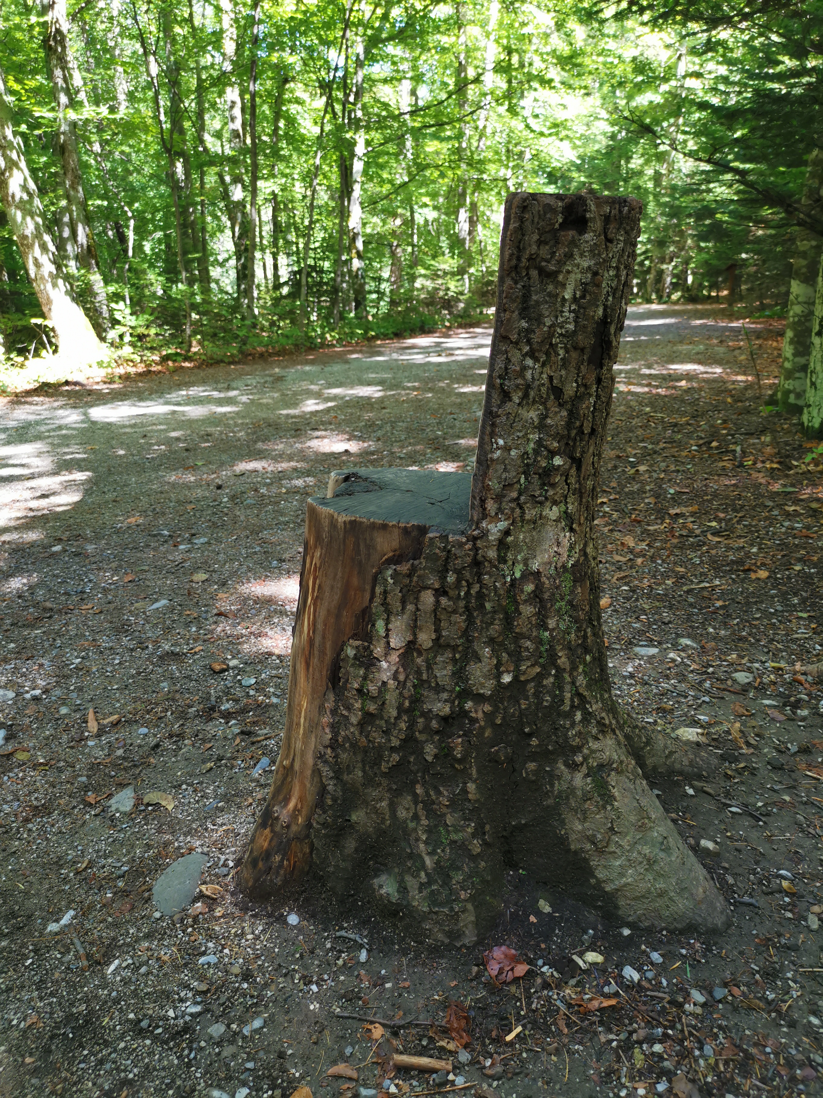 Photo n° 24 de l'avis de Hans.a fait le 31/08/2020 à 17:36