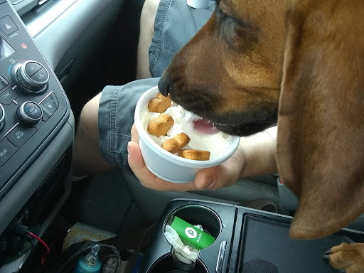 Coffee Shop «Coyote Coffee Cafe - Easley», reviews and photos, 1035 S Pendleton St, Easley, SC 29642, USA