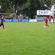 ASKÖ Donau Linz - Fußball