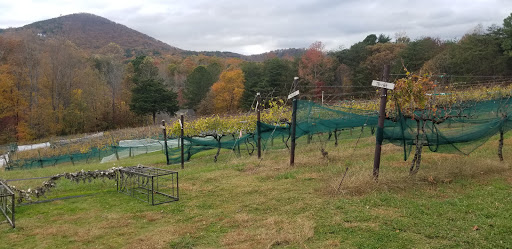 Winery «Sharp Mountain Vineyards», reviews and photos, 110 Rathgeb Trail, Jasper, GA 30143, USA