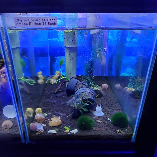 Aquarium Shop «Total Fish & Pets», reviews and photos, 137 Valley Blvd, Alhambra, CA 91801, USA