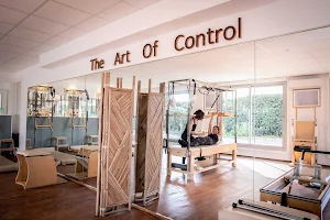 THE ART OF CONTROL image