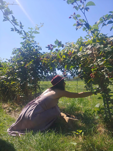 Farm «Bella Organic Farm», reviews and photos, 16205 NW Gillihan Rd, Portland, OR 97231, USA