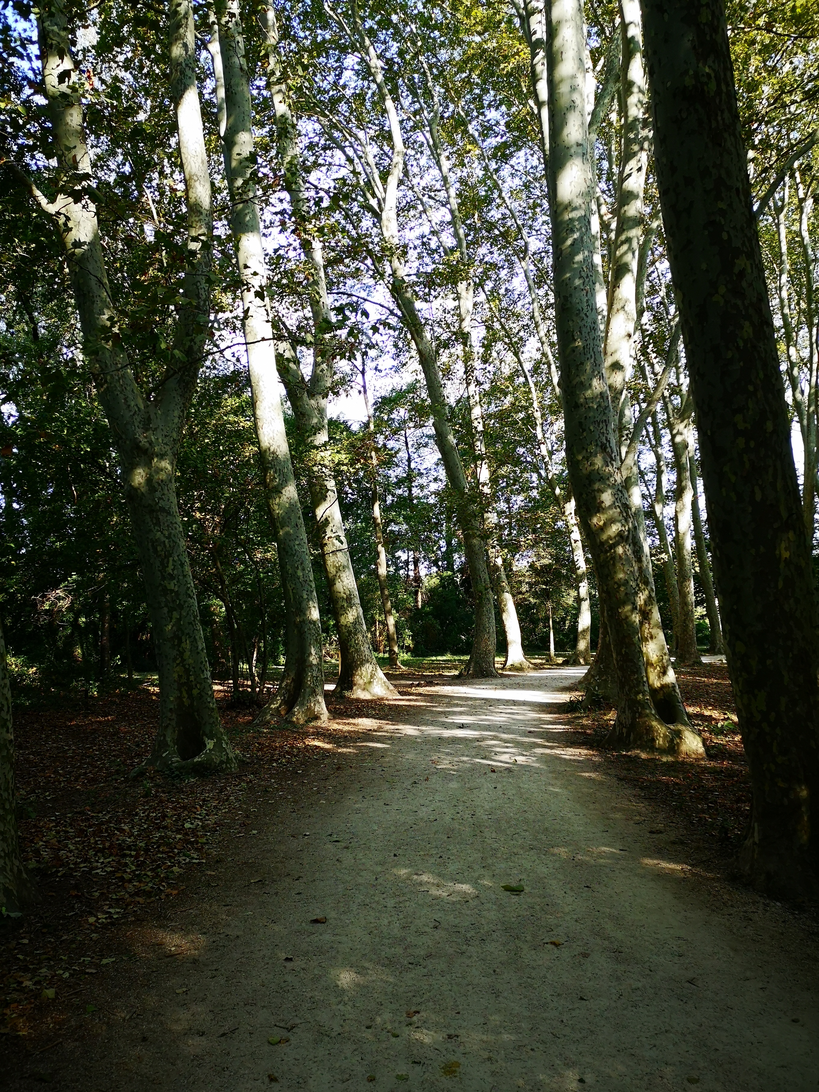 Photo n° 8 de l'avis de seam.e fait le 06/09/2019 à 09:31