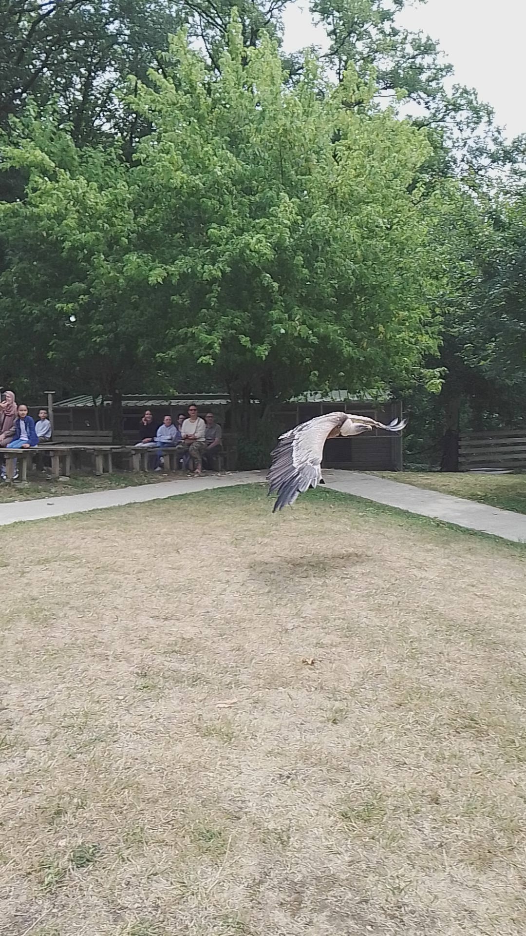 Photo n° 12 de l'avis de Prisc. fait le 17/08/2022 à 18:21