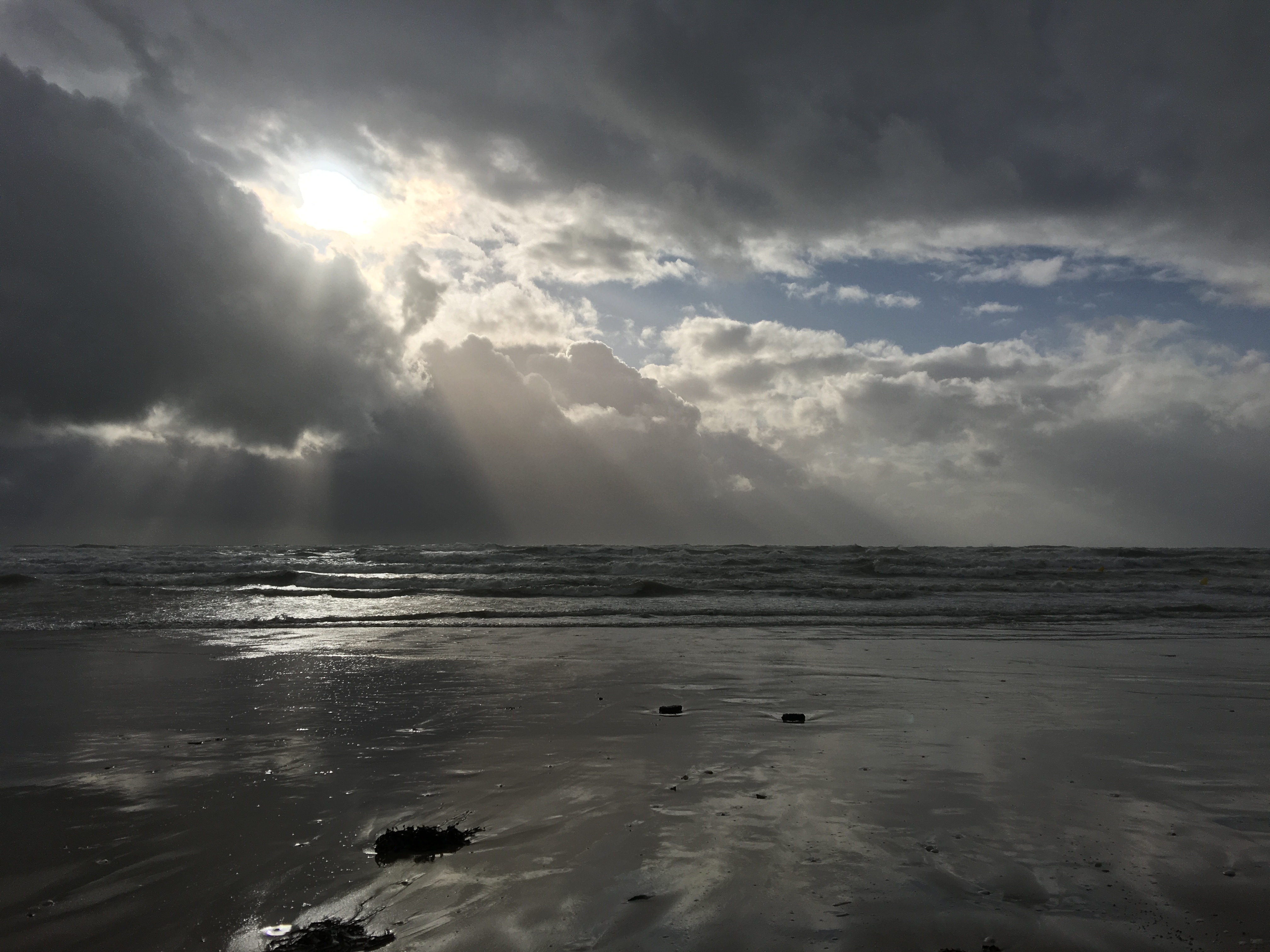 Photo n° 10 de l'avis de Alain.e fait le 17/02/2019 à 16:03