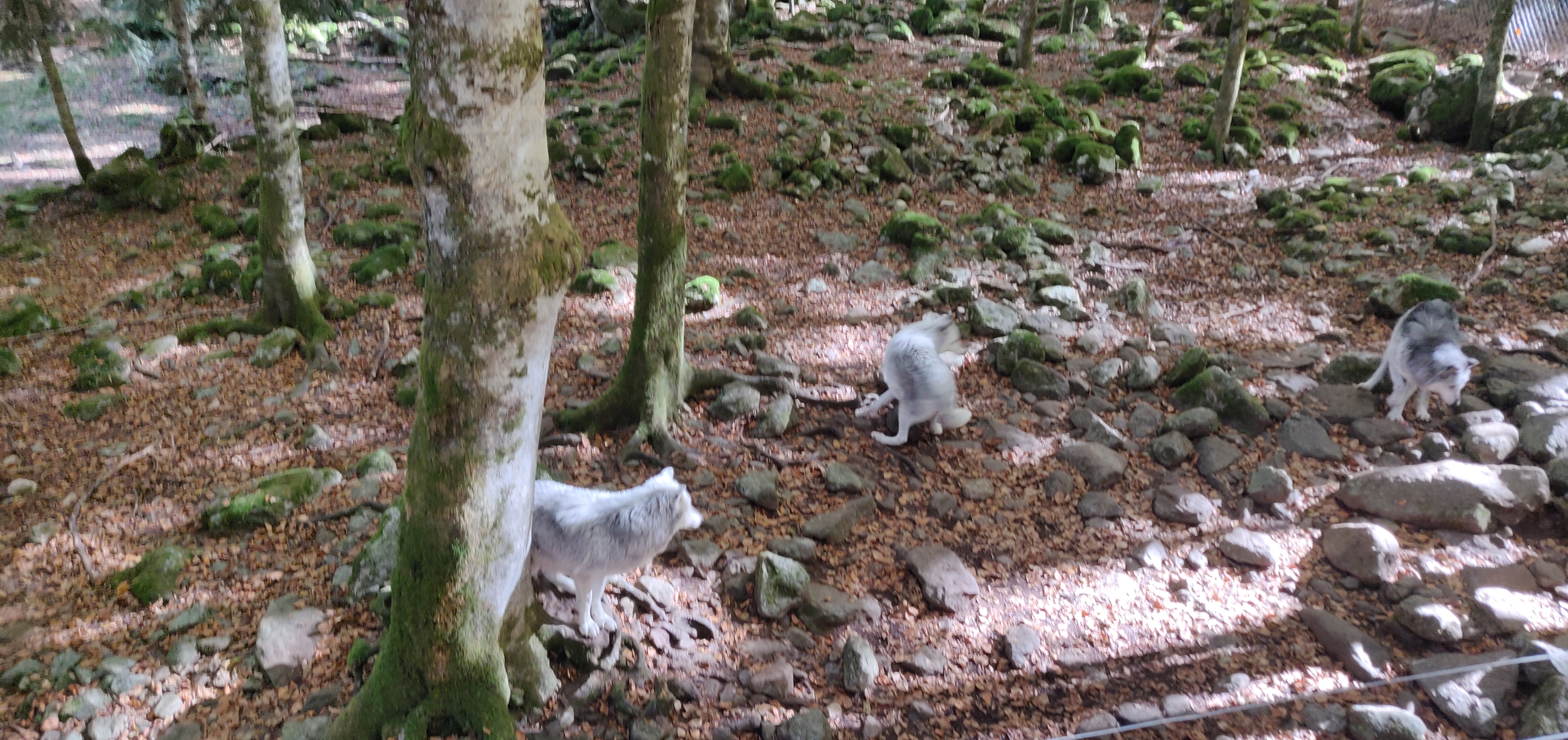 Photo n° 13 de l'avis de Arti.l fait le 29/10/2021 à 16:50