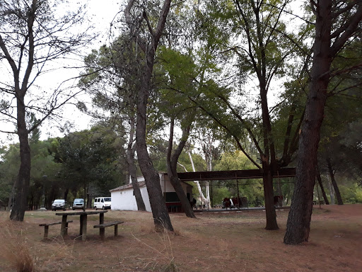 Información y opiniones sobre Bar Los Ejidos de Luciana